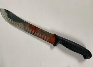 Giesser Primeline 9.5'' Butcher Knife